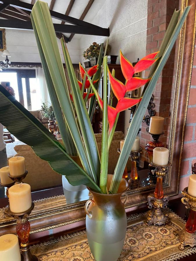 Finca Hotel Villa Camila كوباكبانا المظهر الخارجي الصورة